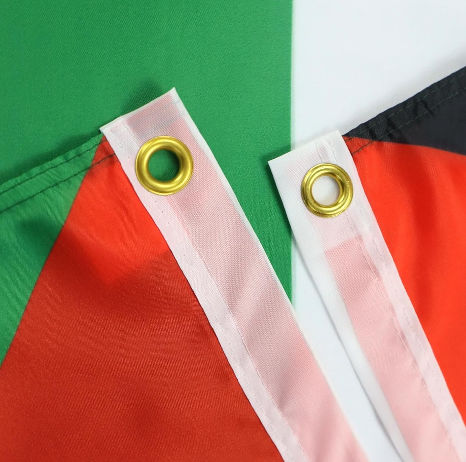 Filistin Bayrağı Anlamı