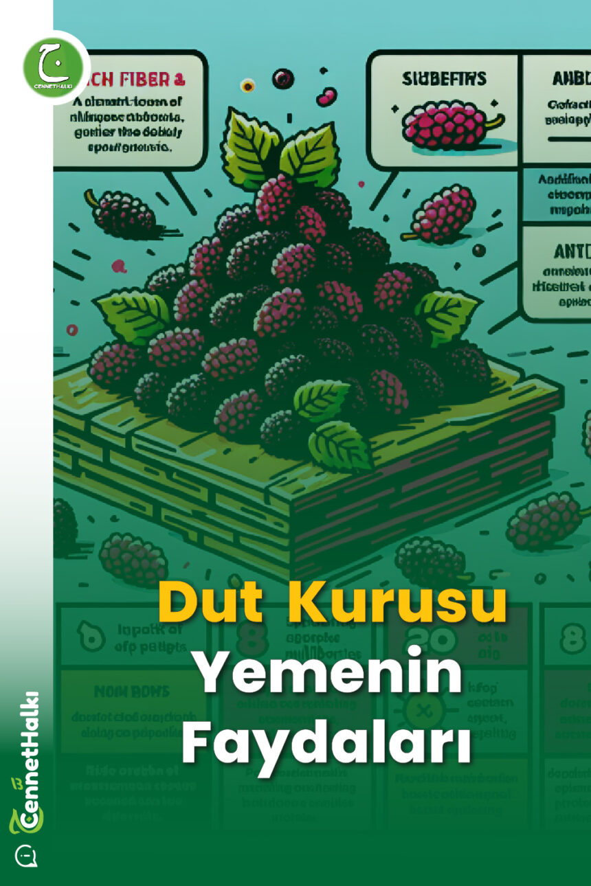 Dut Kurusu Faydası, Siyah & Beyaz Dut Kurusu Yemenin Faydaları